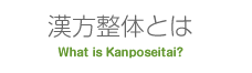 漢方整体とは