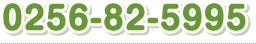 0256-82-5995